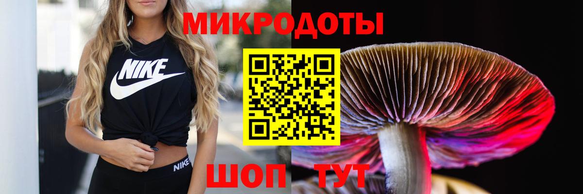 Братск  Псилоцибиновые грибы прущие грибы  Вход с VPN  Псилоцибиновые грибы Psilocybe 